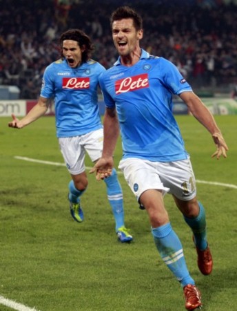 界特有的 界特有的